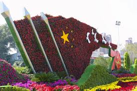 FIFA2026官方网站入口 娄底城市绿化树木图片