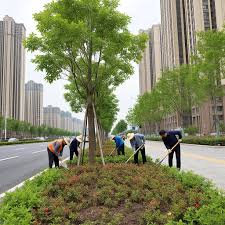汝州城市绿化养护费用标准规定